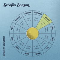 Astrology Zodiac GIF by Sanctuary
