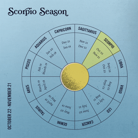 Astrology Zodiac GIF by Sanctuary