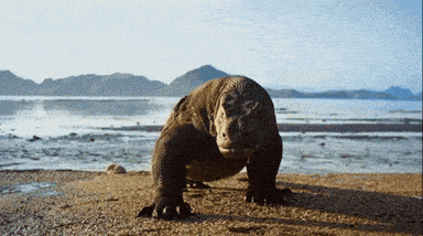 Почему драконы предпочитают жить в замках а не в домах