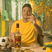 Copa Do Mundo Futebol GIF by Pitú