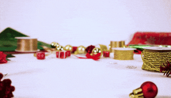 BERNINA International AG GIF