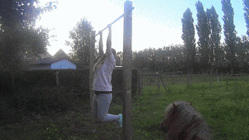 Pull Up GIFs - Find & Share on GIPHY