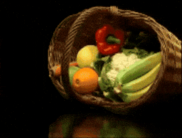 GIF by Indomie Australia
