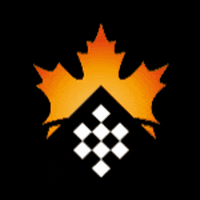 Toronto Candidates GIF by FIDE - International Chess Federation