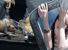 Meow Burning Up GIF