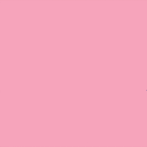 Eat Orange County GIF by Dizzy Bird