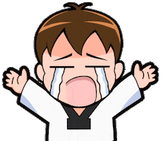 태권도 Takwondo Sticker