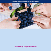 Blueberry GIF