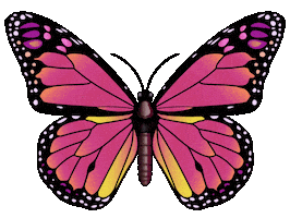Butterfly Sticker