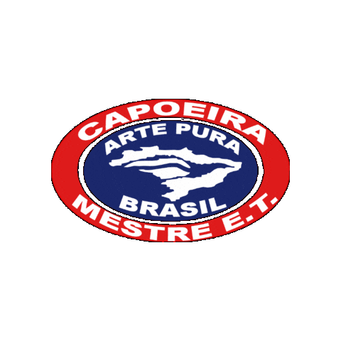 Brasil Sticker by Arte Pura