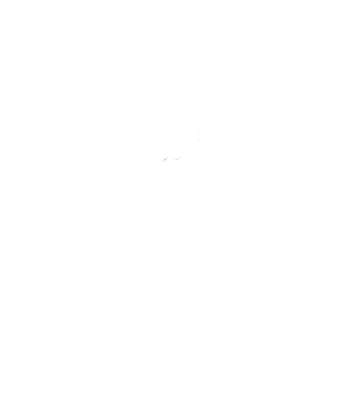 Corrida Thehardestrun Sticker by Overstress