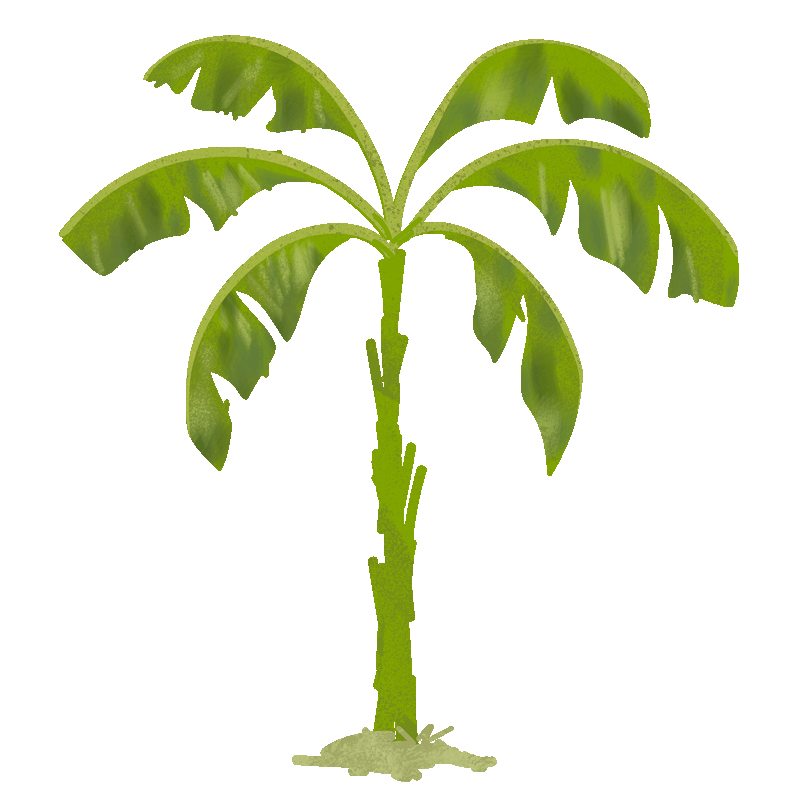 Banana Tree Boho Sticker for iOS & Android GIPHY
