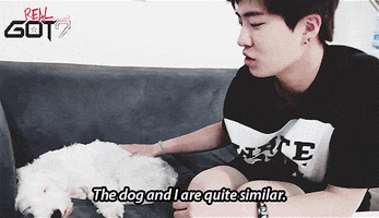 we are all youngjae GIF