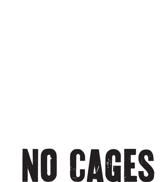 San Francisco California GIF by San Jose Harley-Davidson