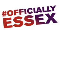 I Got In Results GIF by University of Essex