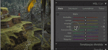 Lightroom GIF