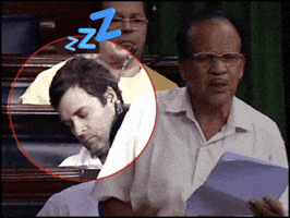 Congress Sleeping GIF
