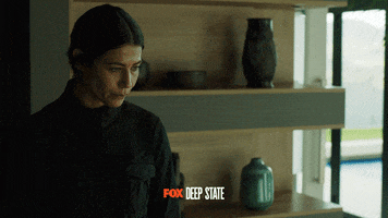FOX GIF