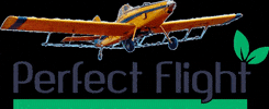 Perfect Flight GIF