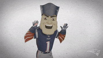 Football Sport GIF by New England Patriots