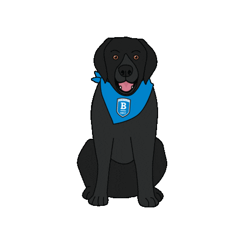 Bentleyu Sticker by Bentley University