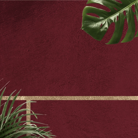 Dimare Planejados GIF