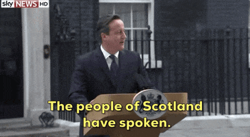David Cameron Scotland GIF
