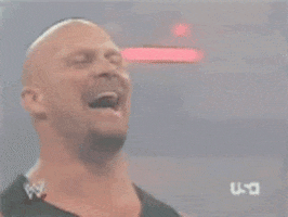 Stone Cold GIF by memecandy
