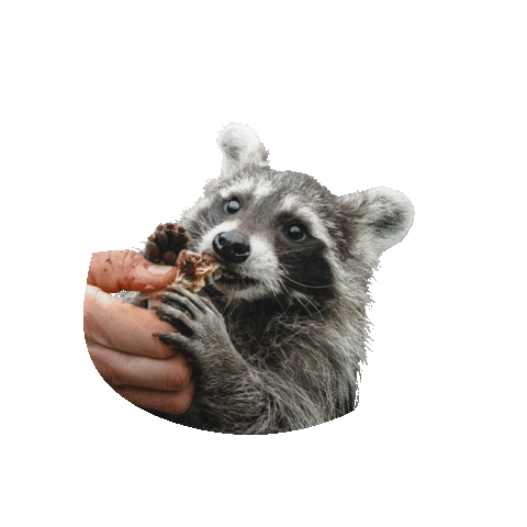 Tierpark Sababurg Sticker