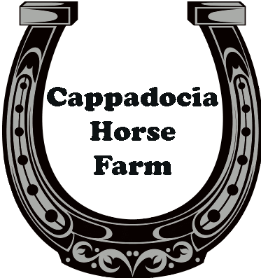 Horse Turkey Sticker by goreme valley cave house