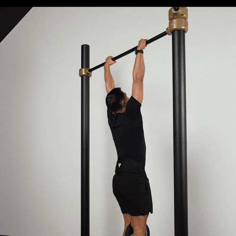 Calisthenics Exercises GIF