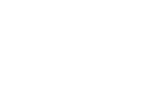 puma basketball logo