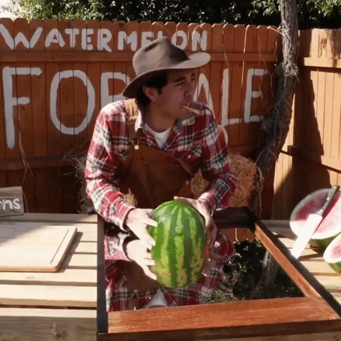 Zach King Watermelon GIF by Cinecom.net