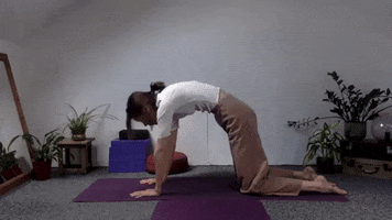 Kundalini Yoga GIF