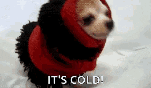 Freezing Cold Weather GIF by MOODMAN