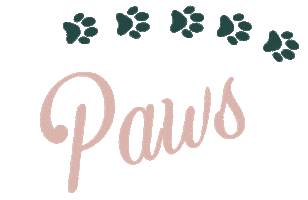 Washyourpaws Sticker by The Emerald Hound