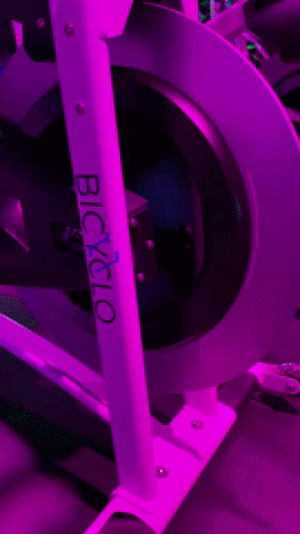 Bicyclo fitness gym fit spinning GIF