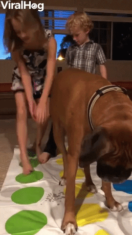 Doggy Plays Twister By His Own Rules GIF by ViralHog