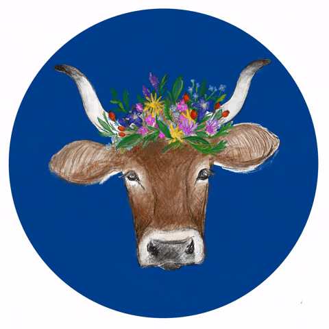 Sennalpe Breitengehren GIF