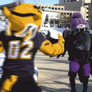 Happy Baltimore Ravens GIF by Towson University - Find & Share on GIPHY