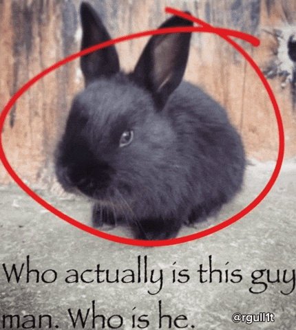 Who Is He GIF