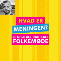 Christiansborg GIF by Radikale Venstre