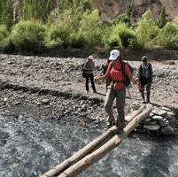 Roam Family Travel Adventure GIF