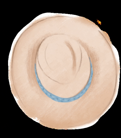 Hat Chapeu Praia Miafrois GIF