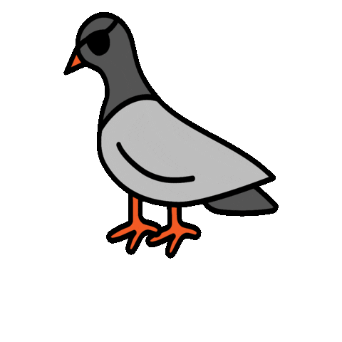 New York Bird Sticker