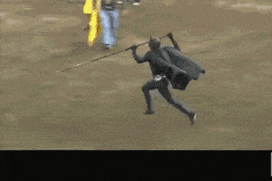 Bull Fight GIF