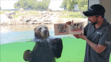 Grizzly Bear Kids GIF by Oakland Zoo