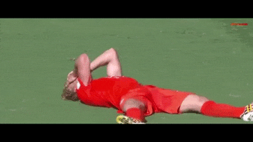 Dirk Kuyt GIF