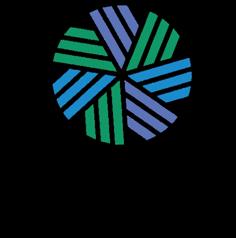 CFA Society Brazil GIF