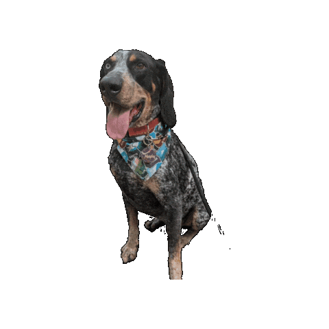 Star Wars Murphy Sticker by Geekster Pets